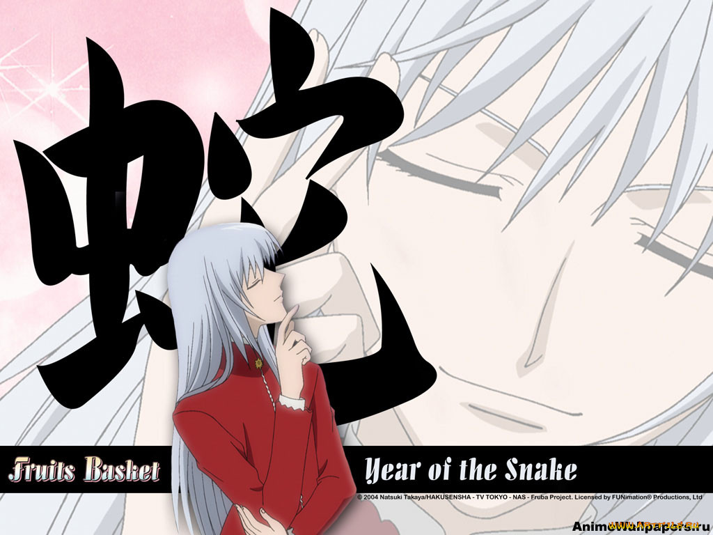 , fruits, basket